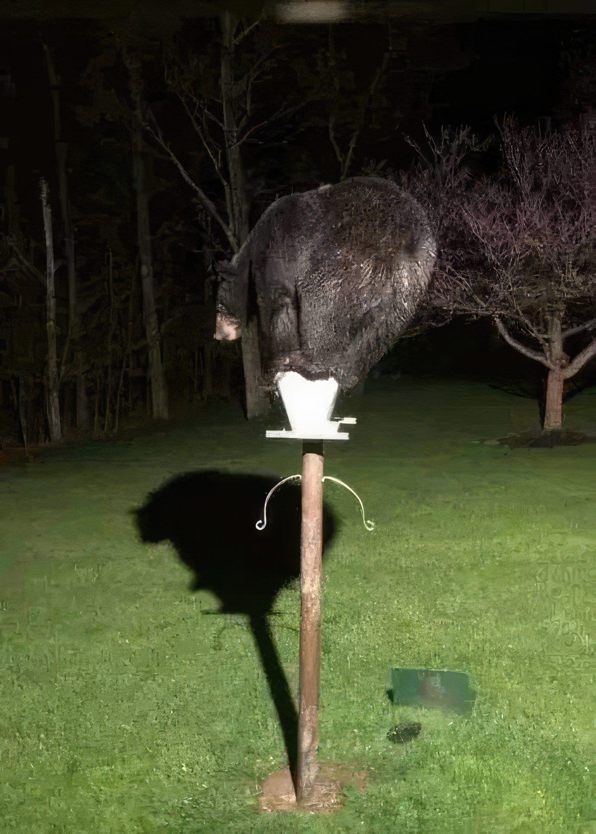 Gewoon een verzameling hilarische foto's #1772