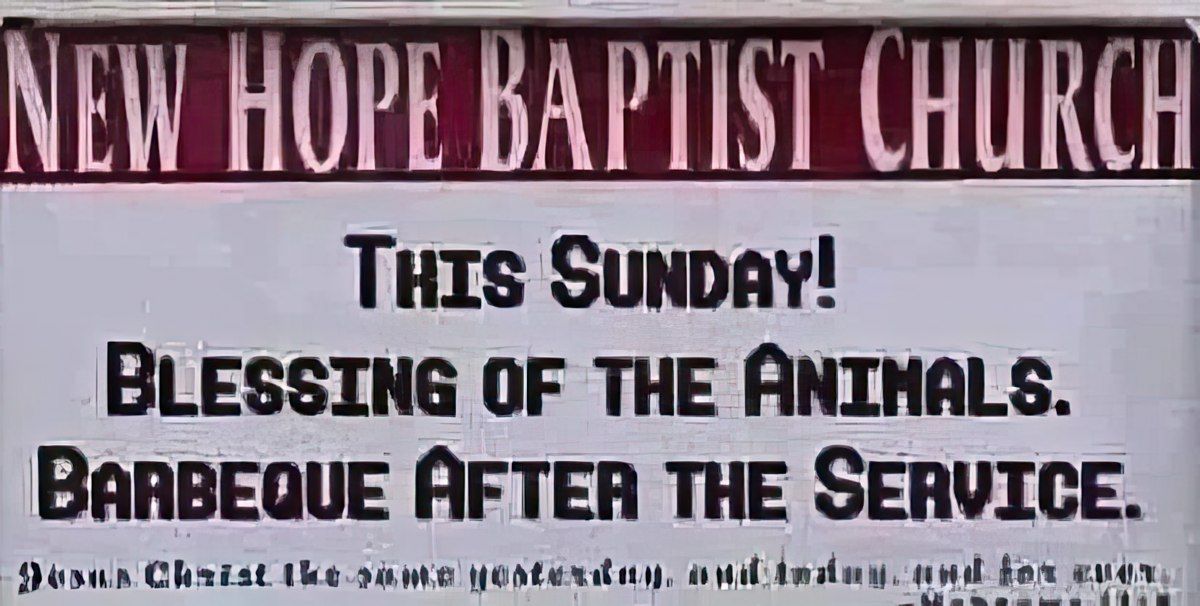 Gewoon een verzameling hilarische foto's #1772