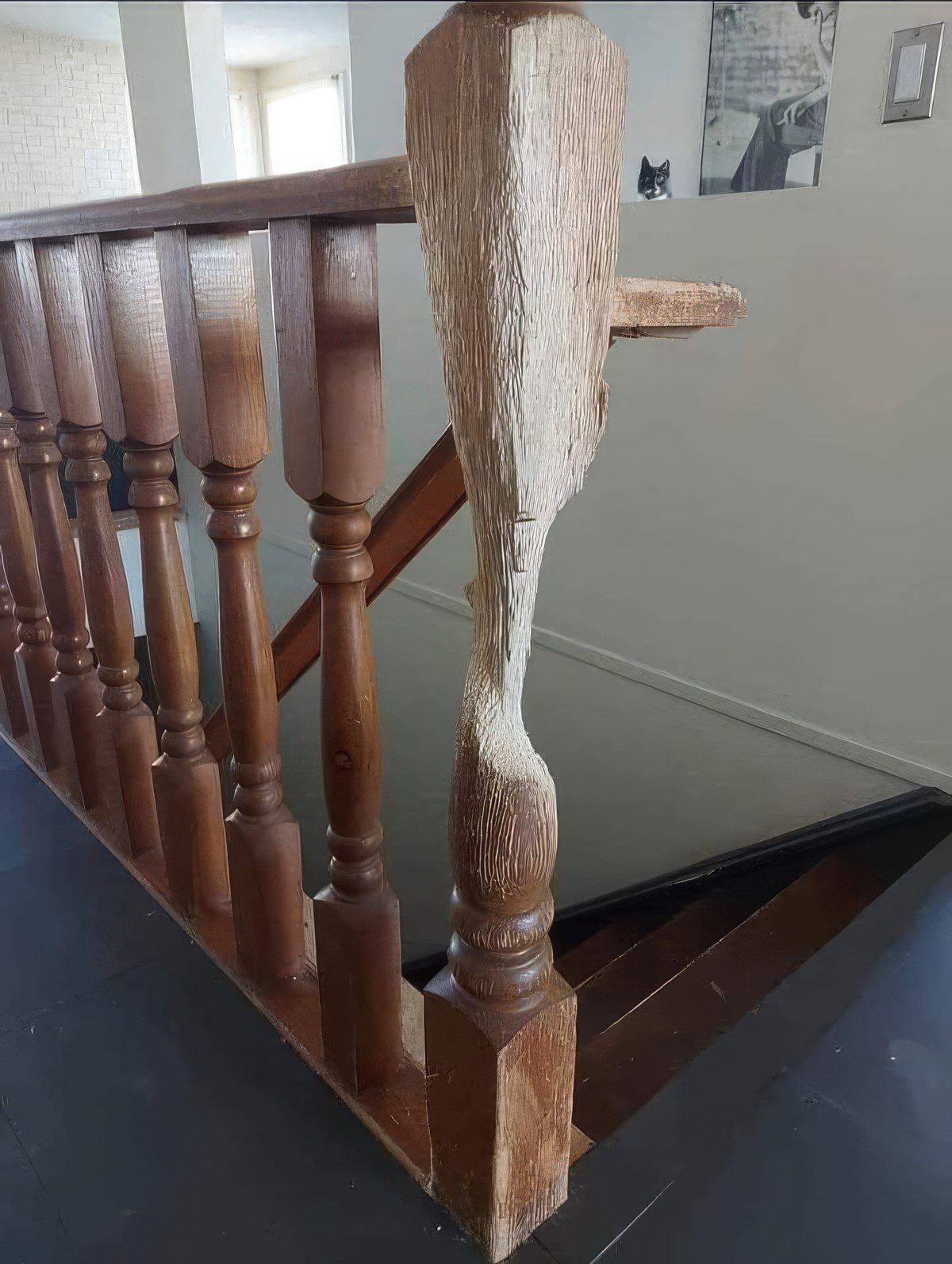 Gewoon een verzameling hilarische foto's #1772