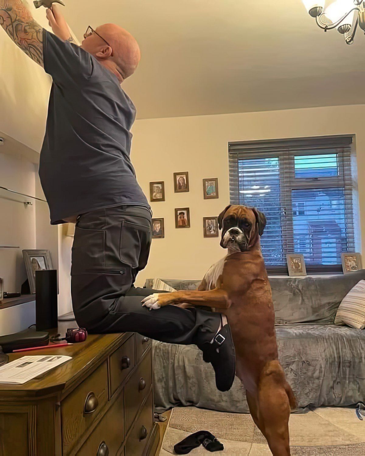 Gewoon een verzameling hilarische foto's #1772