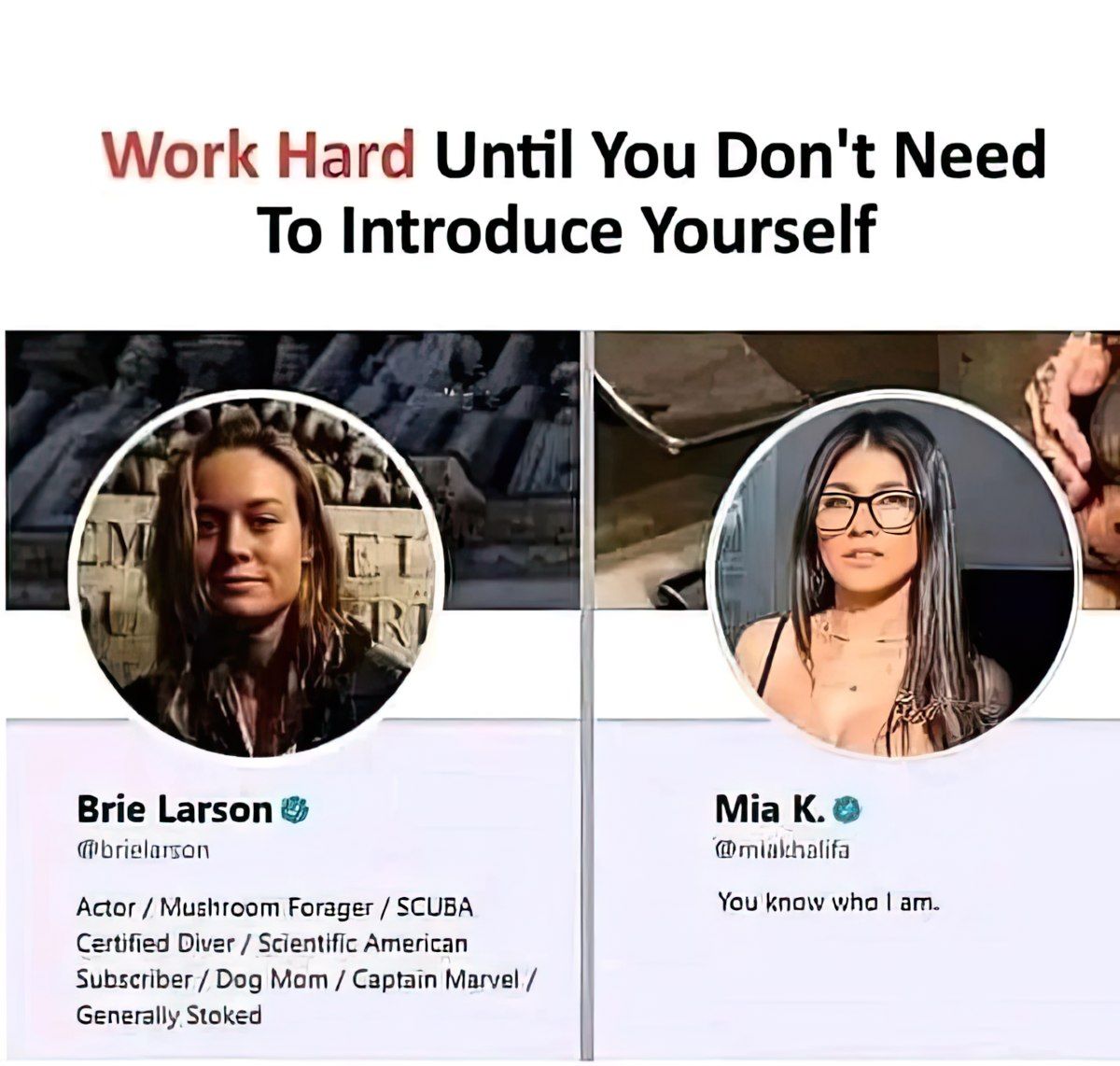 Gewoon een verzameling hilarische foto's #1772