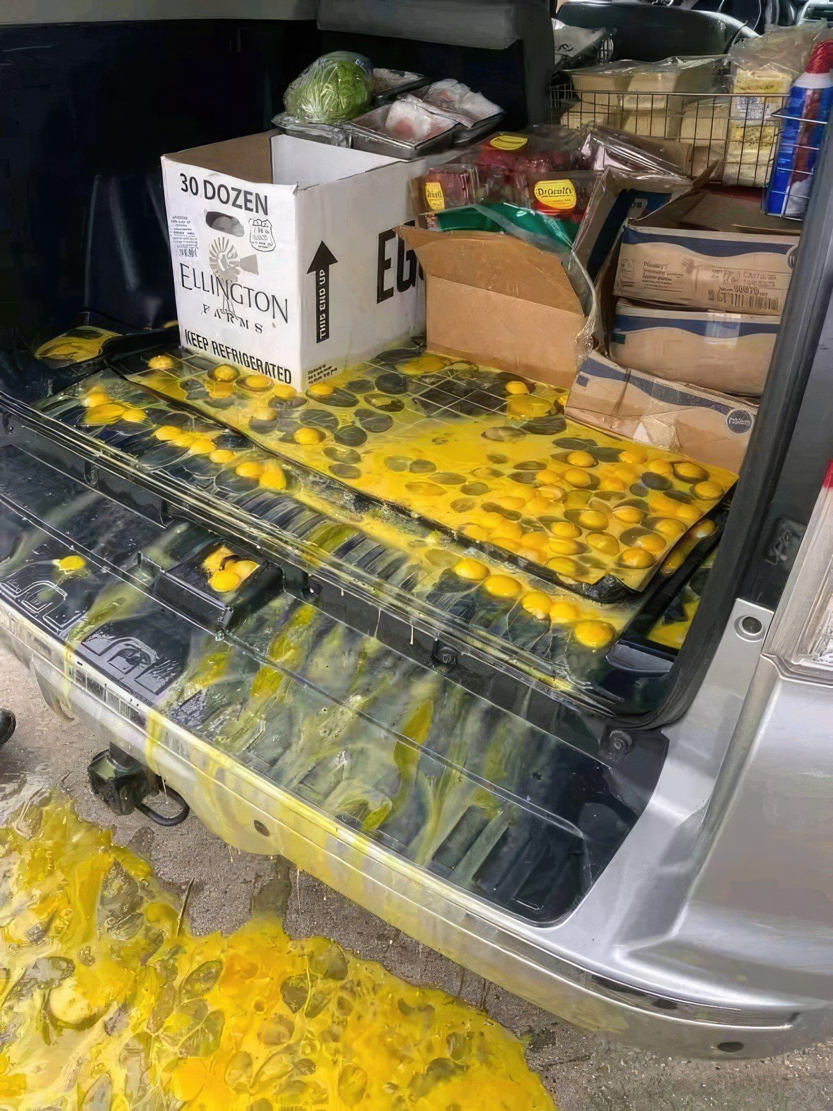 Gewoon een verzameling hilarische foto's #1772