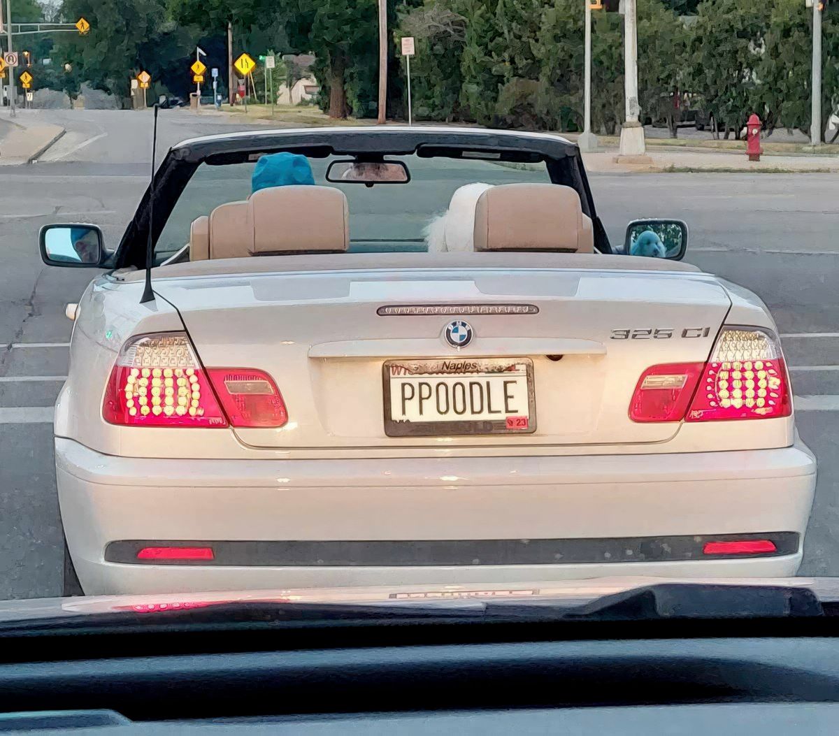 Gewoon een verzameling hilarische foto's #1772