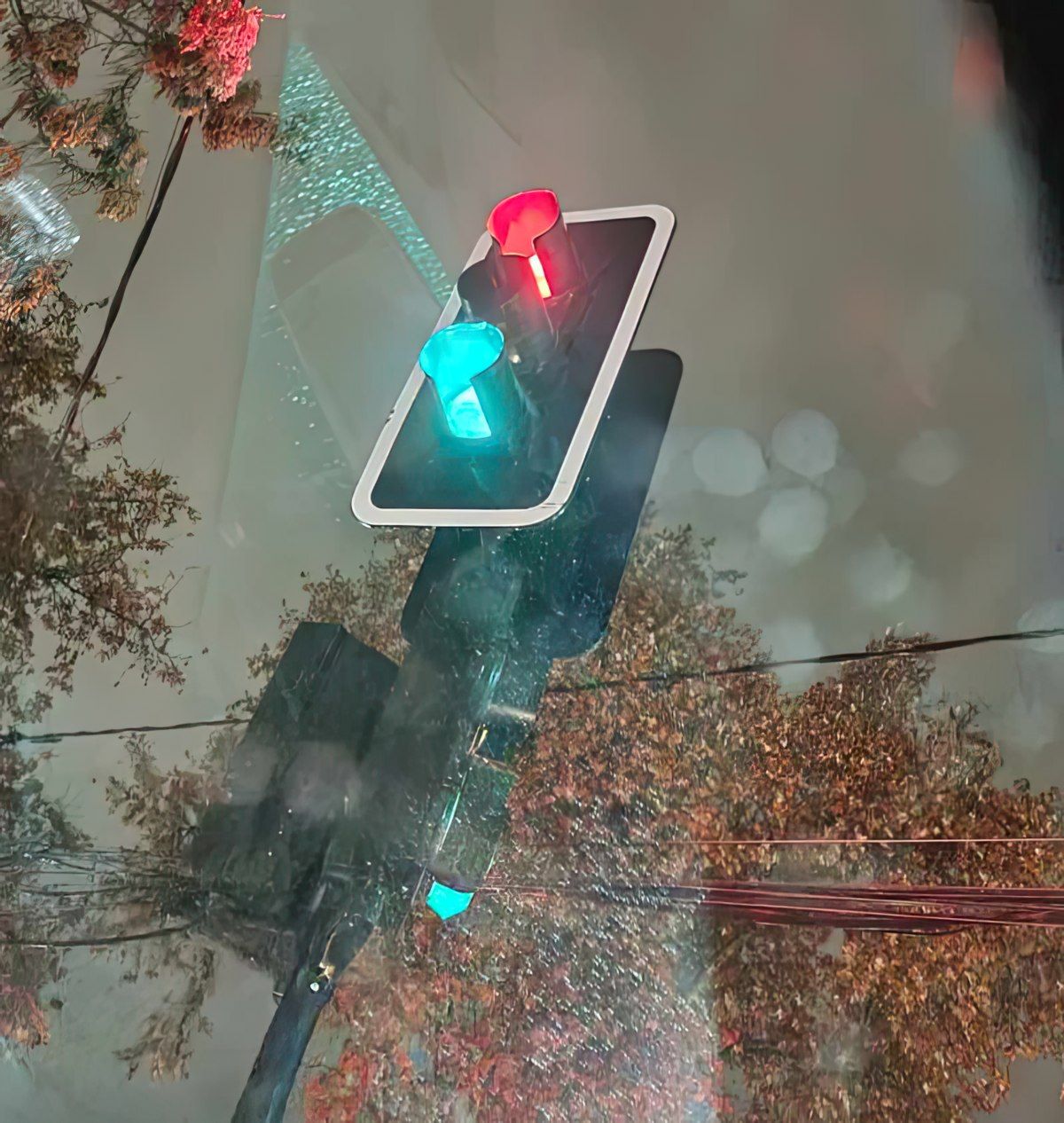 Gewoon een verzameling hilarische foto's #1772