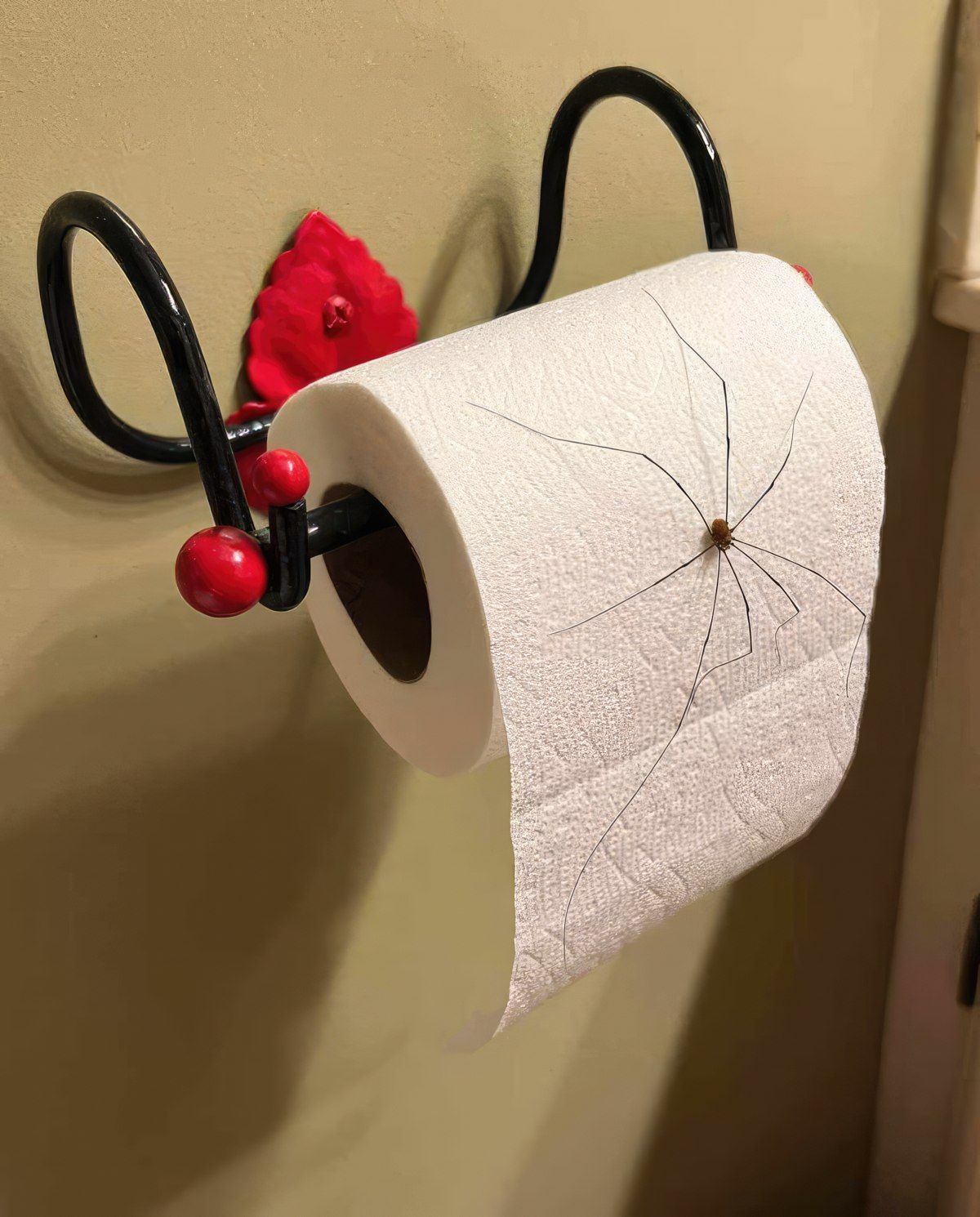 Gewoon een verzameling hilarische foto's #1772