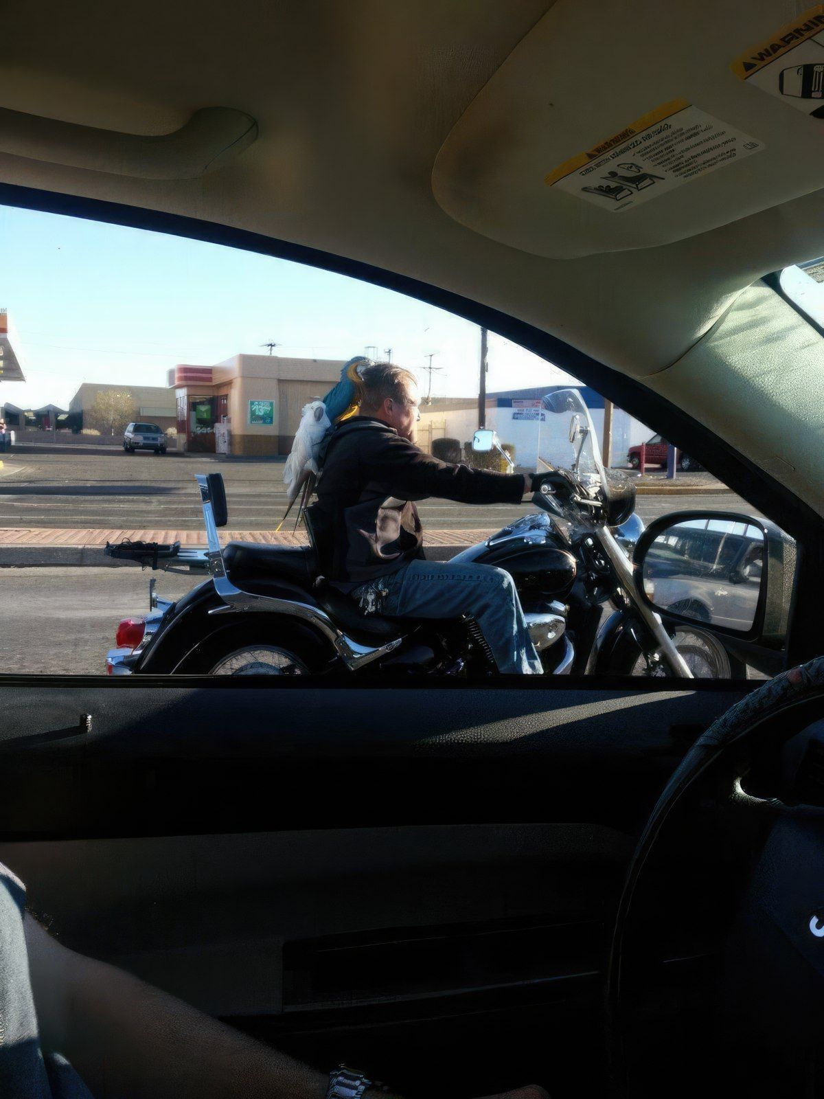 Gewoon een verzameling hilarische foto's #1773