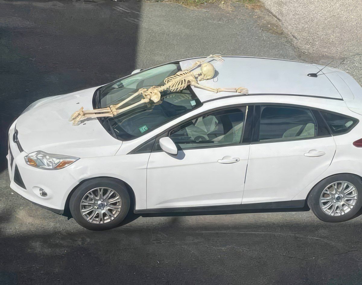 Gewoon een verzameling hilarische foto's #1773