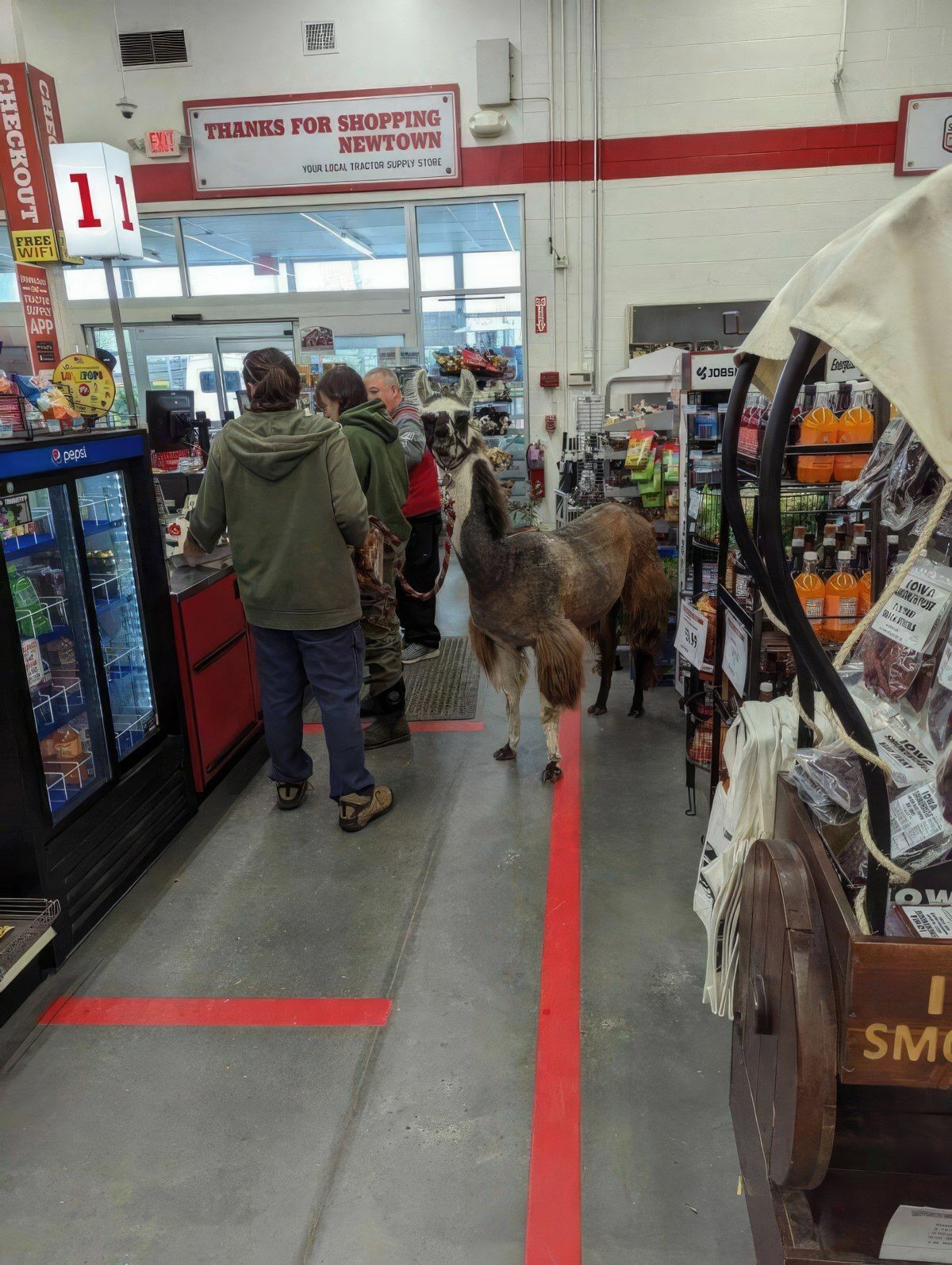 Gewoon een verzameling hilarische foto's #1773