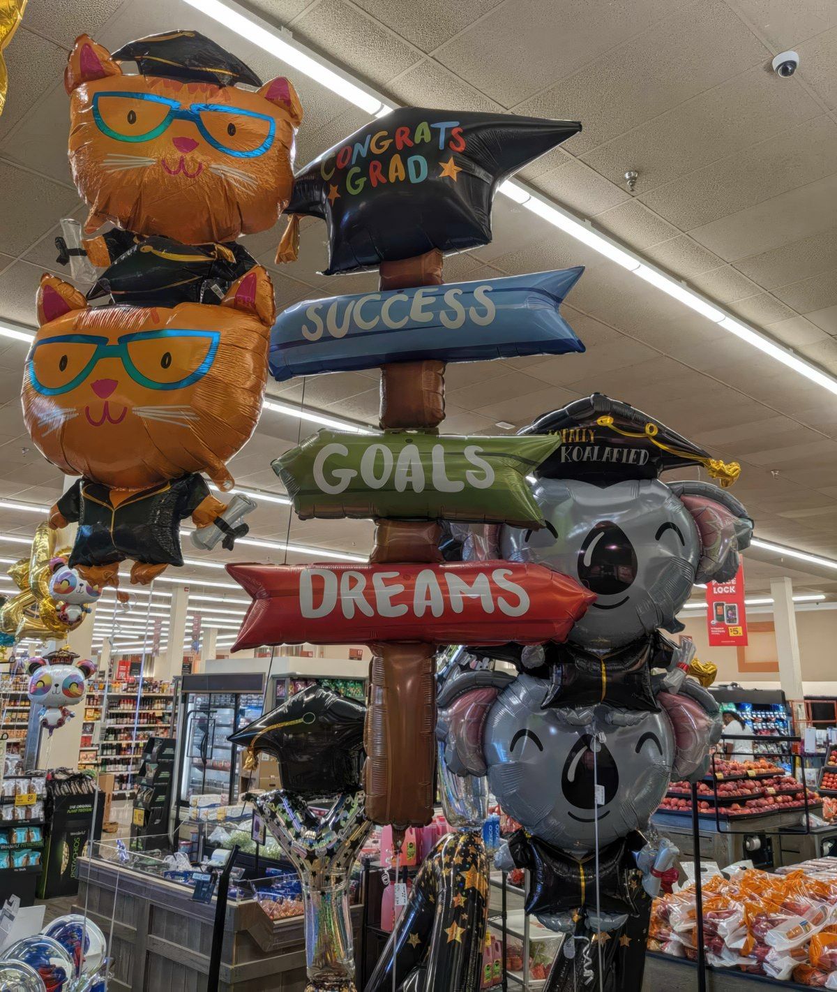 Gewoon een verzameling hilarische foto's #1773