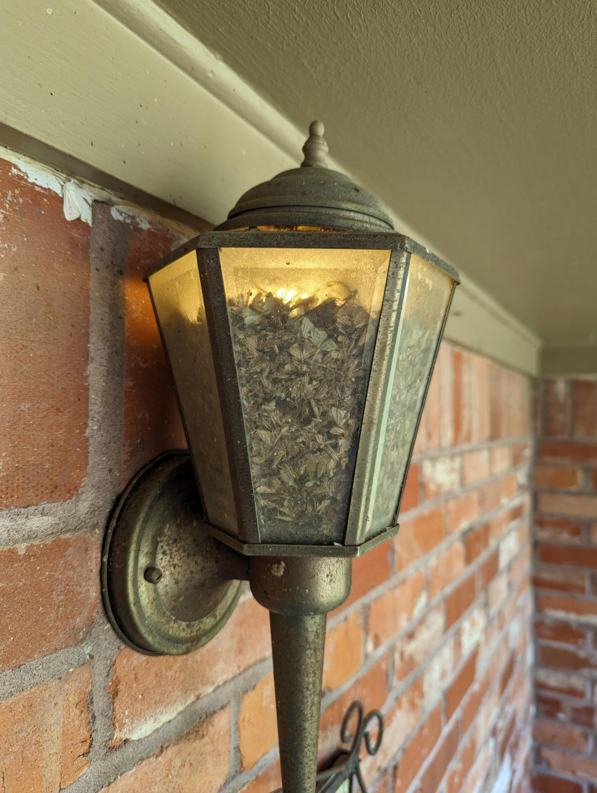 Gewoon een verzameling hilarische foto's #1773