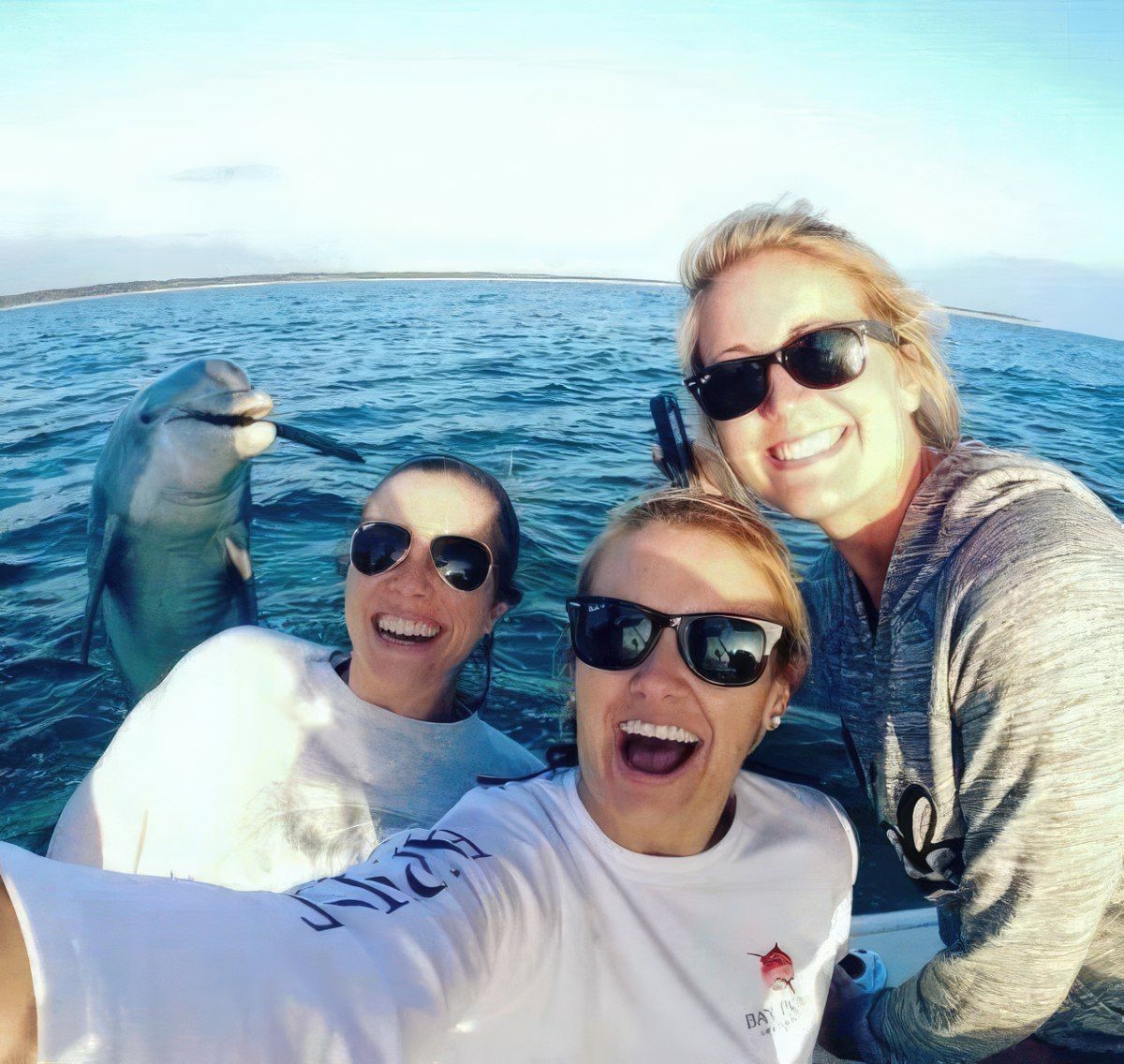 Gewoon een verzameling hilarische foto's #1774