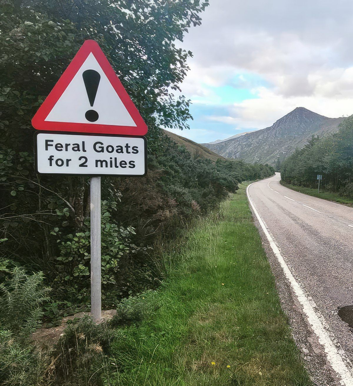 Gewoon een verzameling hilarische foto's #1774