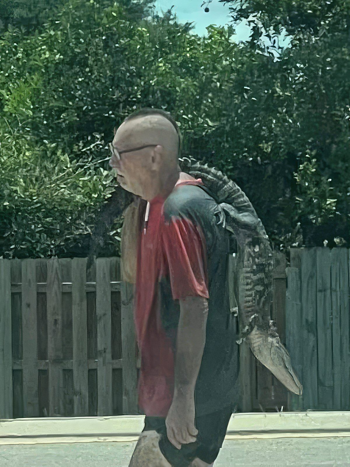 Gewoon een verzameling hilarische foto's #1774