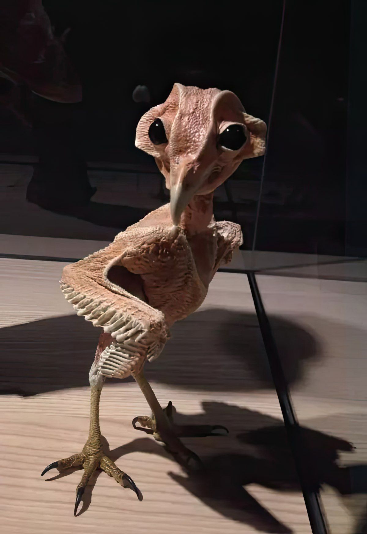 Gewoon een verzameling hilarische foto's #1774