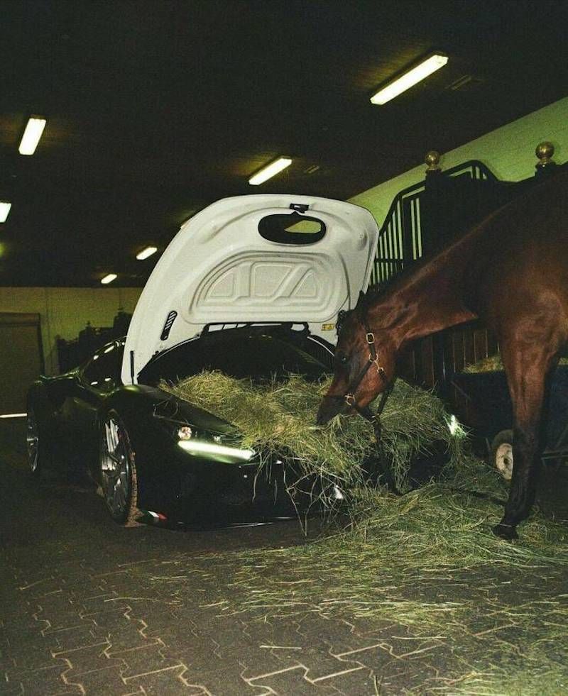 Gewoon een verzameling hilarische foto's #1786