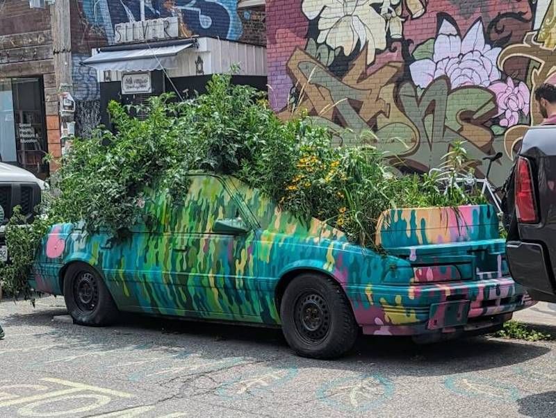 Gewoon een verzameling hilarische foto's #1786