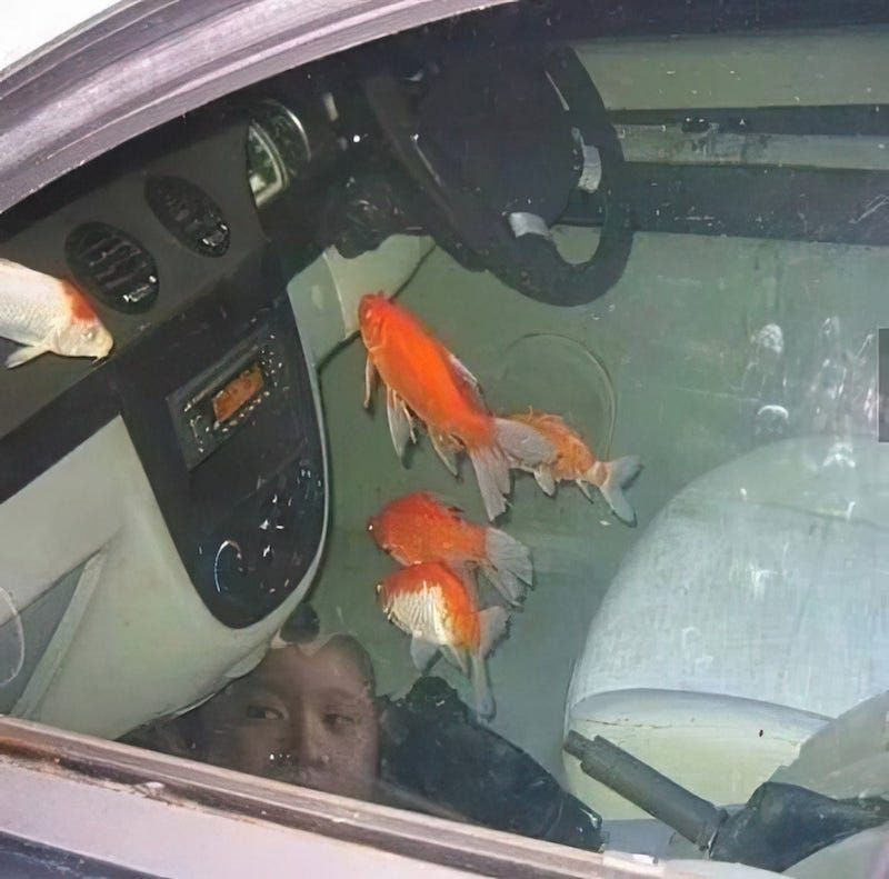 Gewoon een verzameling hilarische foto's #1784