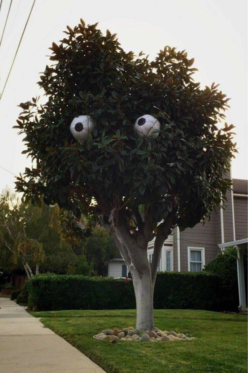 Gewoon een verzameling hilarische foto's #1786