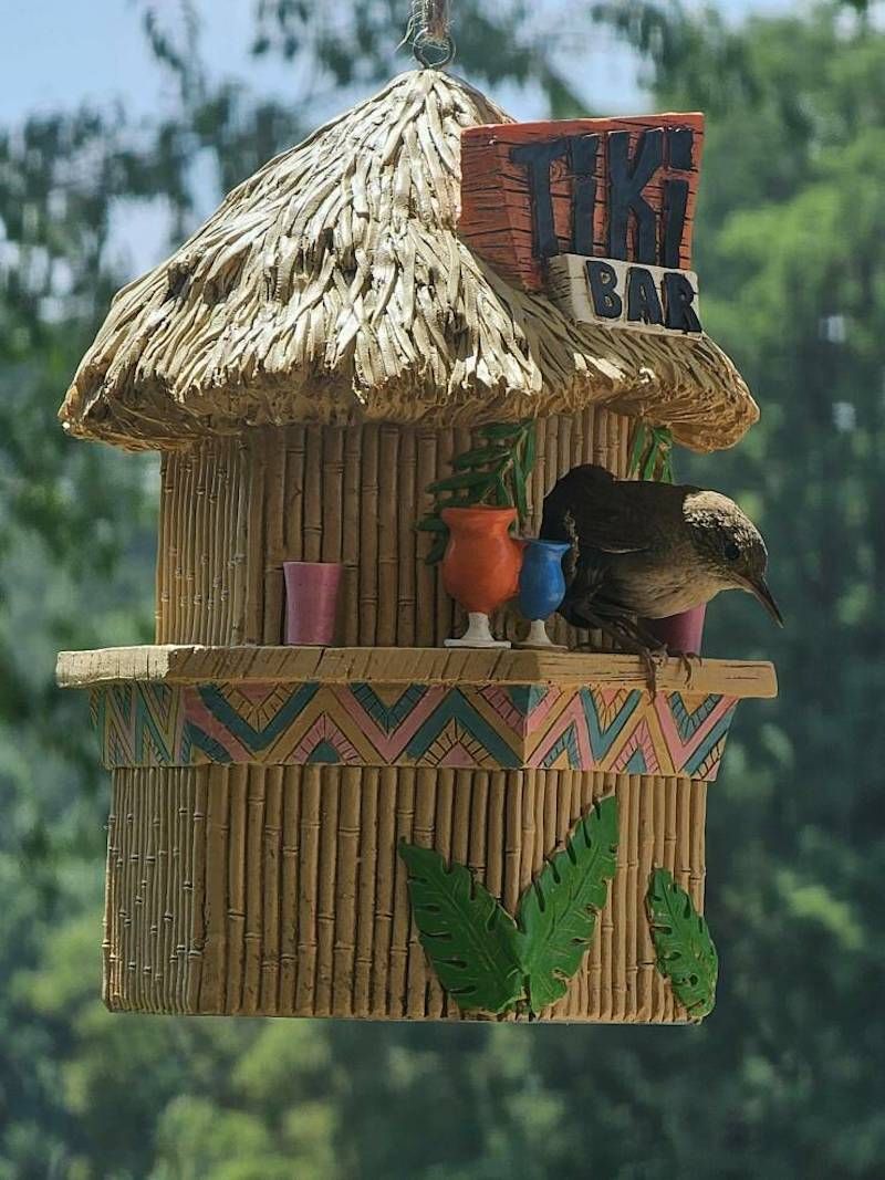 Gewoon een verzameling hilarische foto's #1786