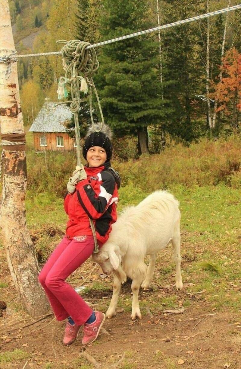 Gewoon een verzameling hilarische foto's #1784