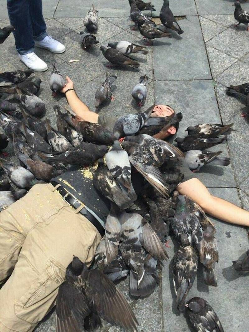 Gewoon een verzameling hilarische foto's #1786