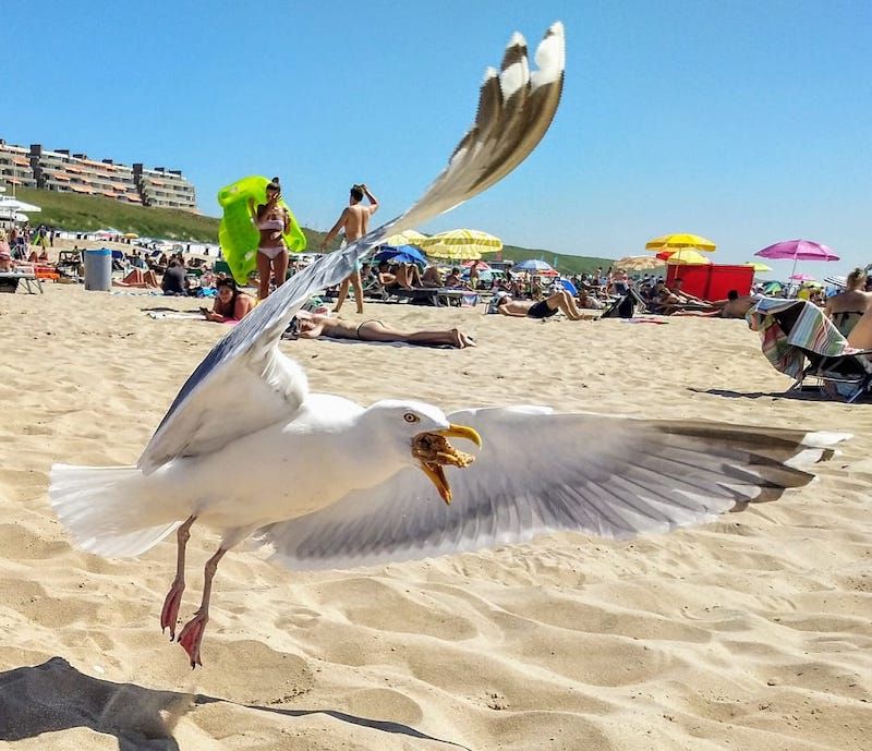 Gewoon een verzameling hilarische foto's #1786