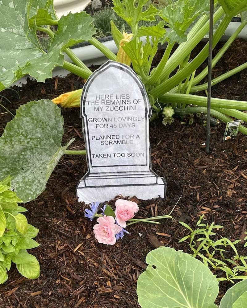 Gewoon een verzameling hilarische foto's #1786