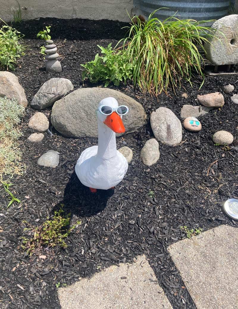 Gewoon een verzameling hilarische foto's #1786