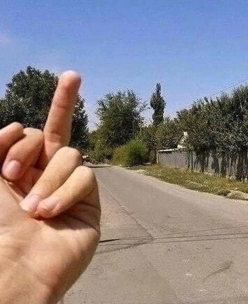 Gewoon een verzameling hilarische foto's #1784