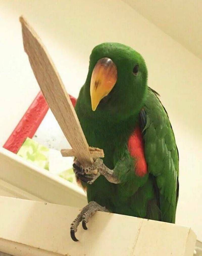 Gewoon een verzameling hilarische foto's #1784