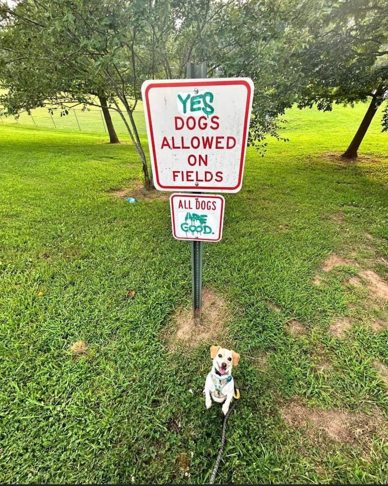 Gewoon een verzameling hilarische foto's #1786