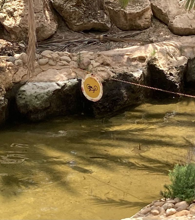 Gewoon een verzameling hilarische foto's #1786