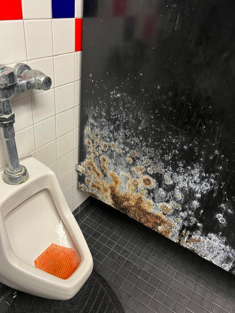 Gewoon een verzameling hilarische foto's #1786