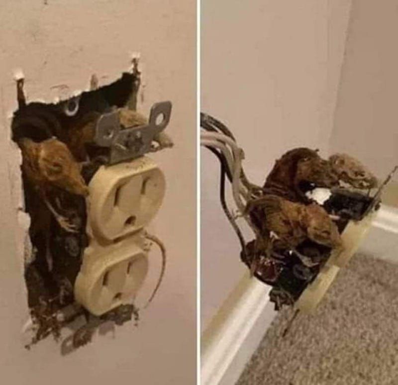 Gewoon een verzameling hilarische foto's #1786