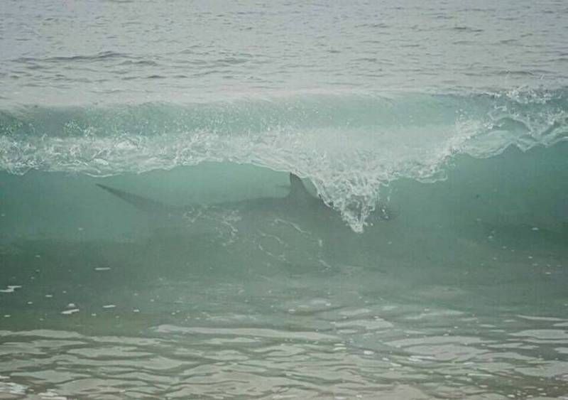 Gewoon een verzameling hilarische foto's #1786