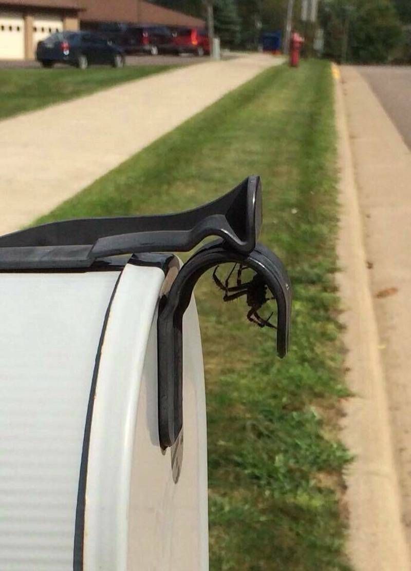 Gewoon een verzameling hilarische foto's #1784