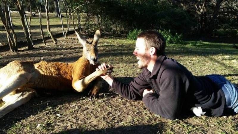 Gewoon een verzameling hilarische foto's #1784