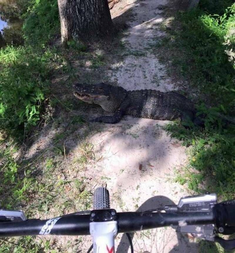 Gewoon een verzameling hilarische foto's #1784