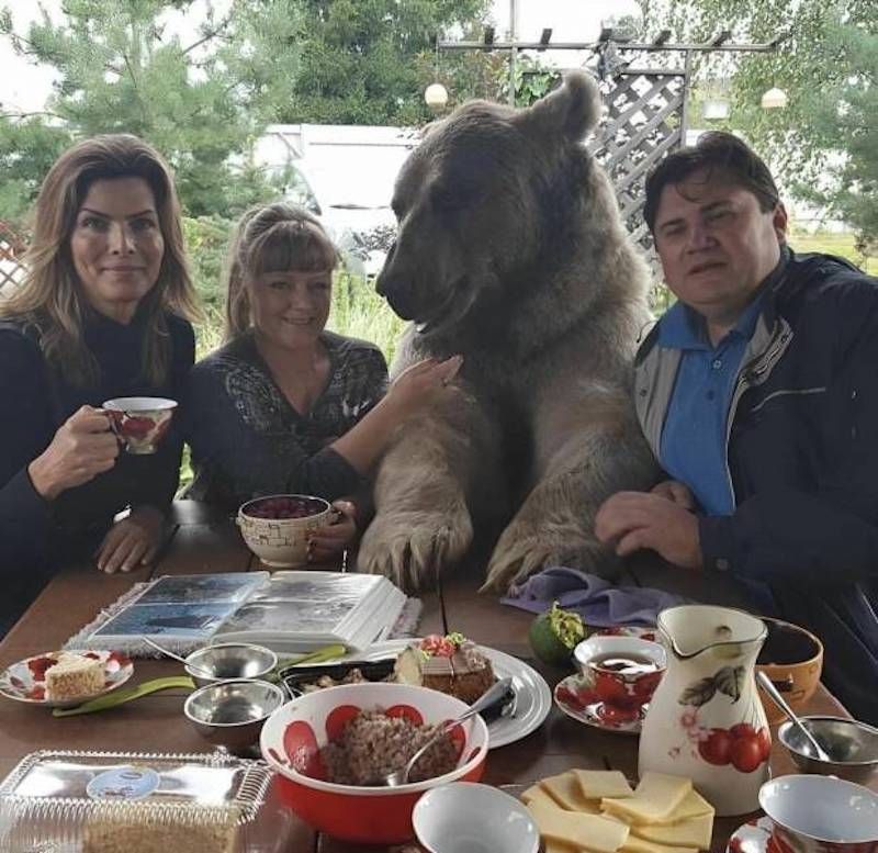 Gewoon een verzameling hilarische foto's #1786