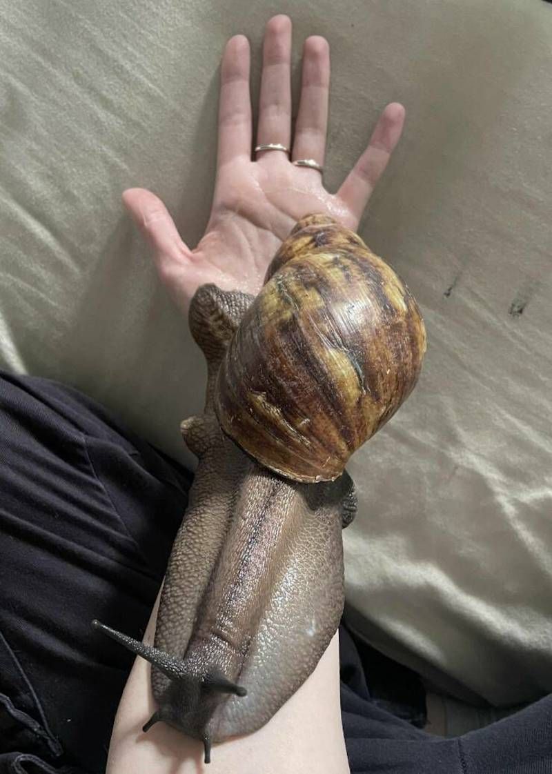 Gewoon een verzameling hilarische foto's #1784