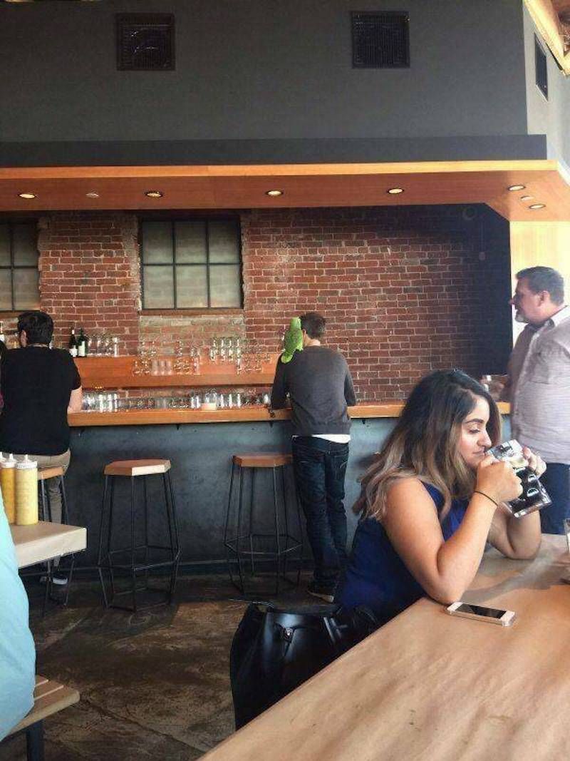 Gewoon een verzameling hilarische foto's #1786