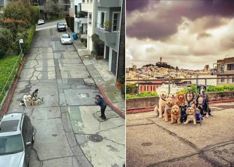 Gewoon een verzameling hilarische foto's #1786