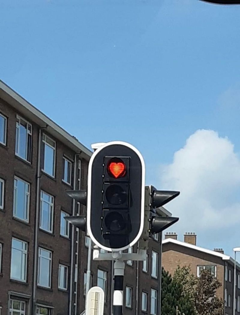 Gewoon een verzameling hilarische foto's #1784