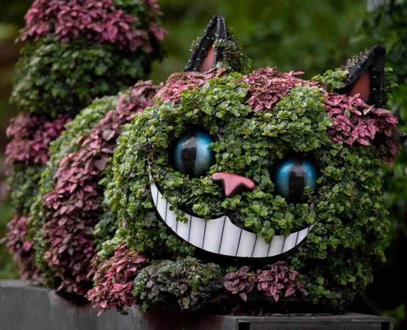 Gewoon een verzameling hilarische foto's #1786