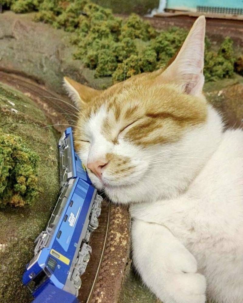 Gewoon een verzameling hilarische foto's #1784