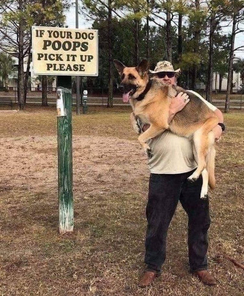 Gewoon een verzameling hilarische foto's #1782