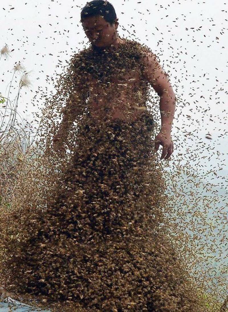 Gewoon een verzameling hilarische foto's #1782