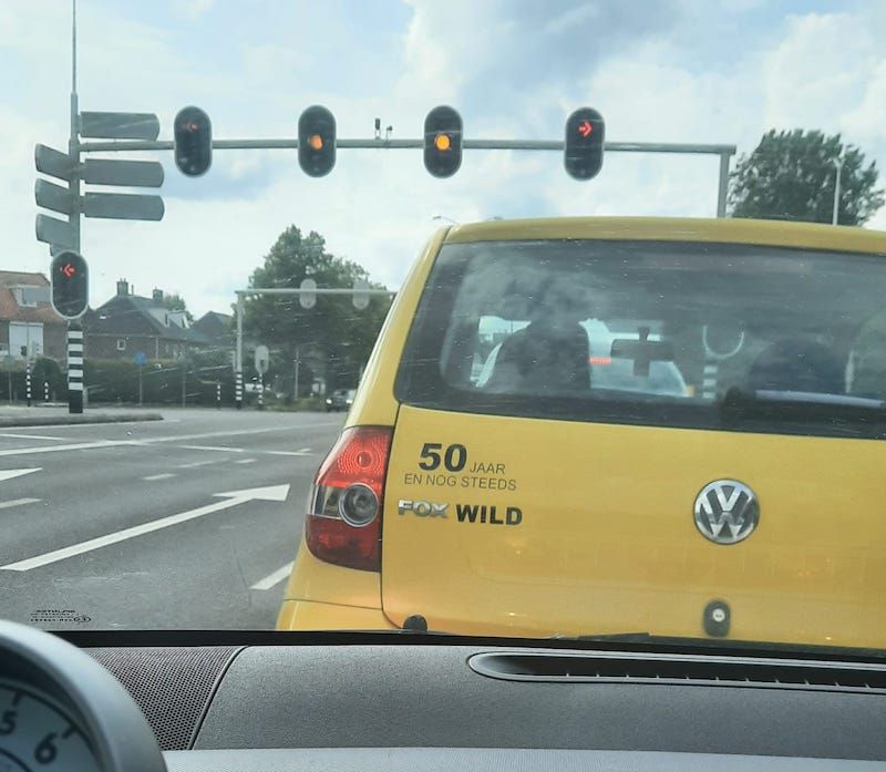 Gewoon een verzameling hilarische foto's #1782