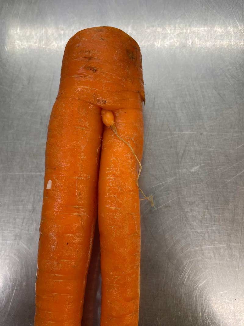 Gewoon een verzameling hilarische foto's #1783