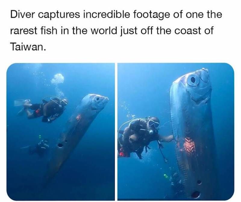 Gewoon een verzameling hilarische foto's #1783